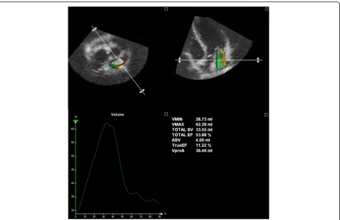 Fig. 1 3D image analysis (4D LA Function, TomTec Imaging Systems) depicting the performed measurements