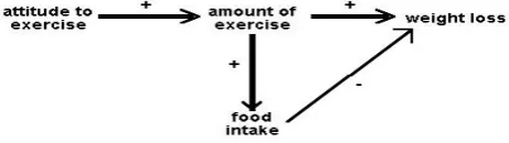 Figure 1: Idealized input path diagram 