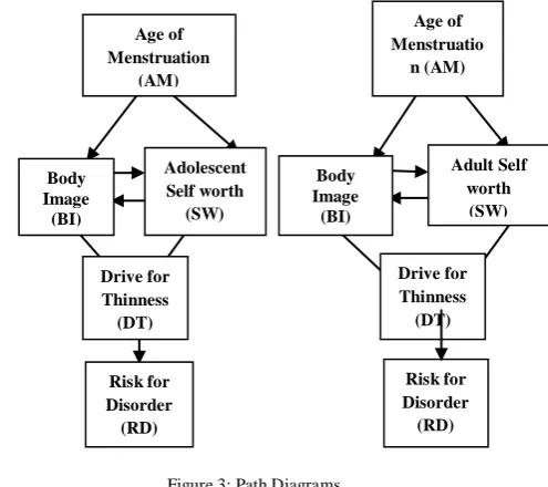 Figure 3: Path Diagrams 