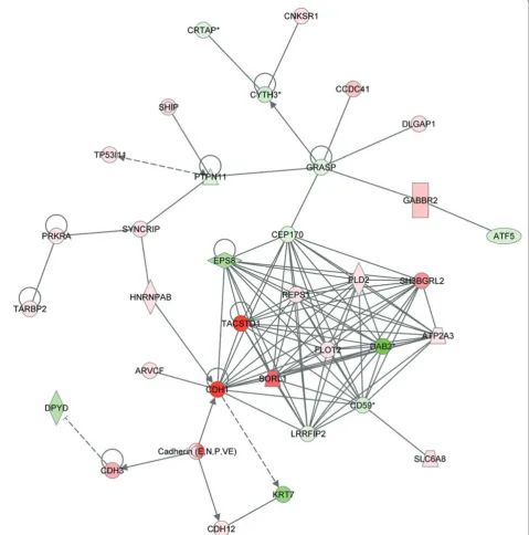 Figure 1: Ingenuity analysis identifi es novel gene networks involved in the maintenance of pluripotency