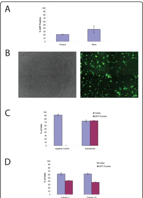 Figure 1 Transfection of H9 is efficient and the resulting cellshave a high viability