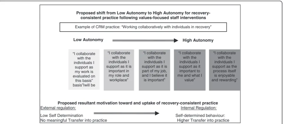 Figure 1 Proposed increase in autonomy and implementation following values intervention