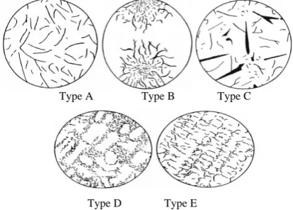 Figure 1.  Five types of graphite flake structures in gray cast iron defined in ASTM A 247 standard