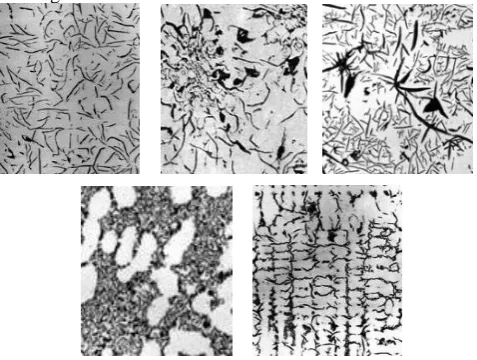 Figure 2.  Microstructure images of type A,B,C,D, and E . 
