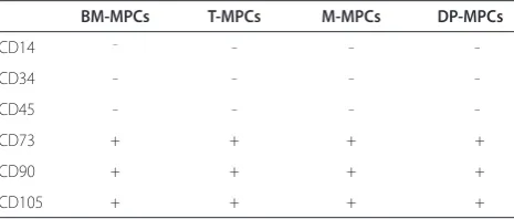 Table 1. Surface epitope phenotype of bone marrow-, tonsil-, muscle-, and dental pulp-derived mesenchymal progenitor cells*