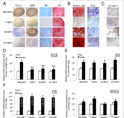 Figure 2. In vitro-induced differentiation of MPCs from different tissue sources. (a-d) Chondrogenic differentiation evaluated after 21 days in micropellet culture