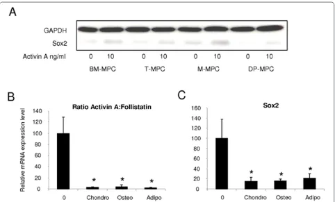 Figure 4. Relation between Sox2 expression levels and activin A:follistatin expression ratio in MPCs from different tissue sources