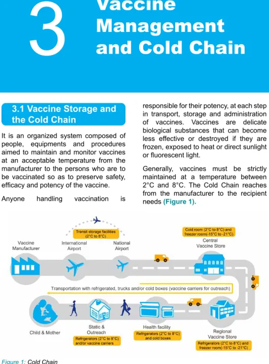 Figure 1: Cold Chain