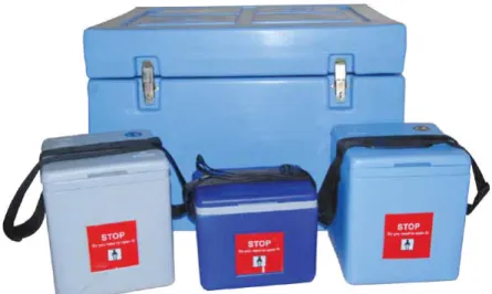 Figure 4 : Vaccine carriers.