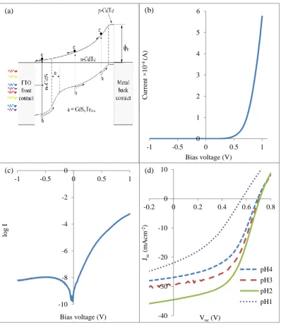 Figure 7: (a) The band diagram of the g/FTO/n-CdS/n-CdTe/p-CdTe/Au thin film solar cell (b) Typical linear–linear I–V curve and (c) semi-logarithmic current versus voltage curve measured under dark conditions for glass/FTO/n-CdS/n-CdTe/p-CdTe/Au devices