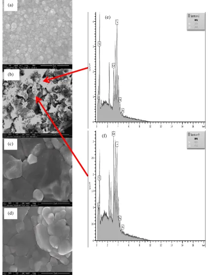 Figure 2: (a) SEM micrograph of as-deposited n-CdTe grown on glass/FTO/n-CdS, (b-d) SEM micrographs for glass/FTO/n-CdS/n-CdTe layers treated with PGT treated with CdCl2 at pH1, pH2 and pH4 respectively, while (e-f) are the EDX point micrograph on layers t