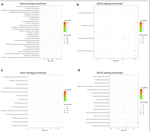 Fig. 5 Functional enrichment analysis of miRNA target genes and lncRNA co-expression genes