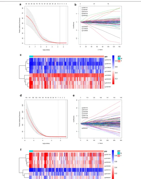Fig. 1 Construction of the methylation-based classifiers. a–c Methylation-based classifier of miRNA