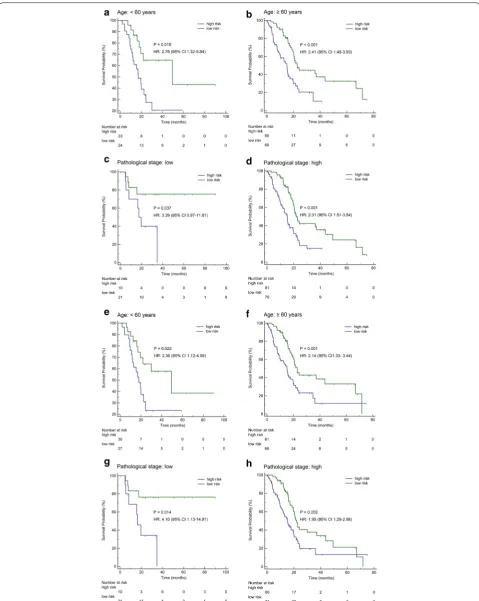 Fig. 3 The survival analysis on the basis of the methylation-based classifiers stratified by clinicopathological risk factors