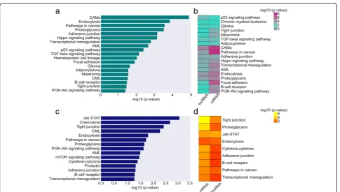 Fig. 2 The molecular pathways of lncRNAs involved in the DUX4 and Ph-like BCP-ALL subgroups.genes involved in each pathways