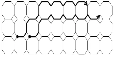 Figure – 19: [We have drawn the first 16 lines of the Octagon-Cell network of depth 5] 