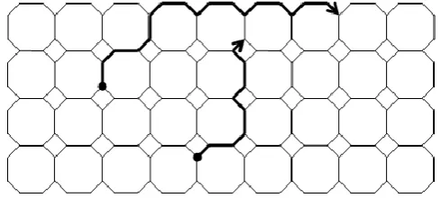 Figure – 22: [We have drawn the first 13 lines of the Octagon-Cell network of depth 5] 