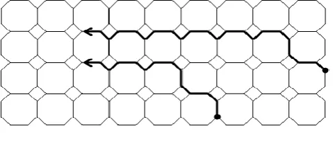 Figure – 25: [We have drawn the first 13 lines of the Octagon-Cell network of depth 5] 