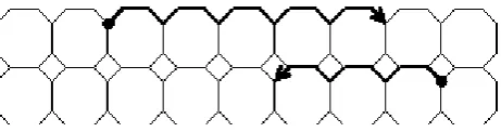 Figure – 7: [We have drawn only first 13 lines of the Octagon-Cell network of depth 5] 