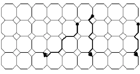 Figure – 9: [We have drawn the first 13 lines of the Octagon-Cell network of depth 5] 