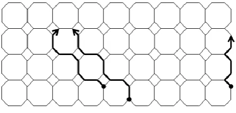 Figure – 11: [We have drawn the first 13 lines of the Octagon-Cell network of depth 5] 