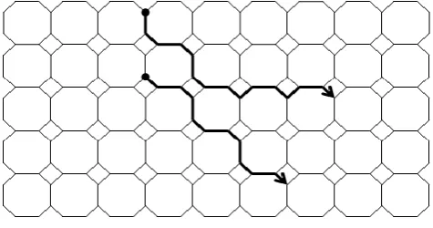 Figure – 13: [We have drawn the first 13 lines of the Octagon-Cell network of depth 5] 