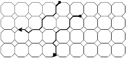 Figure – 15: [We have drawn the first 13 lines of the Octagon-Cell network of depth 5] 