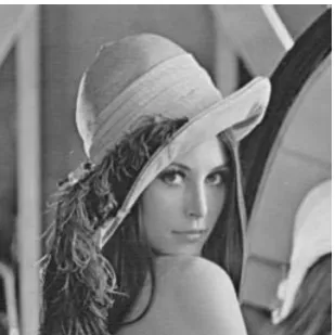Figure 5.  The secret Image: Lena 