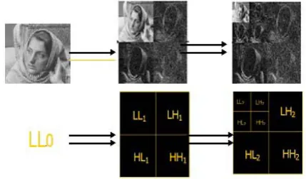 Figure 3.  Example of a Discrete Wavelet Transform. 