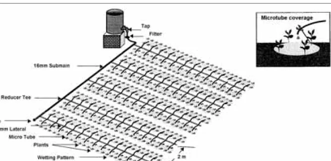 Figure 1. Layout of small-scale drum and drip irrigation system (Moyo et al., 2006).