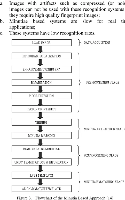 Figure 2.  Fingerprint minutiae [14] 