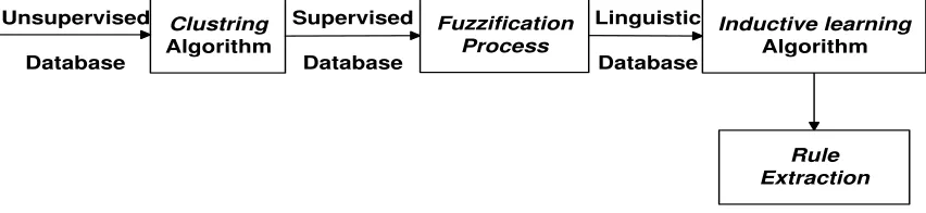 Figure 1: The proposed framework of rule extraction 