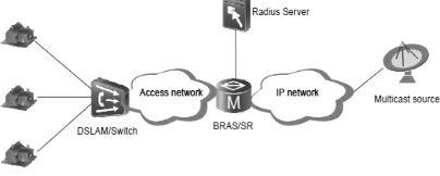 Figure 1: Implementation of IP Multicast 