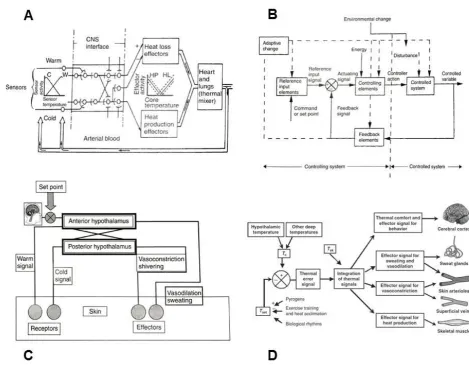Figure 4: Models of autonomic thermoregulatory control 
