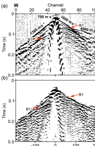 Figure 3. An example of a shot record along line 7 (see SH7 inFig. 2a). (a) Raw shot gather