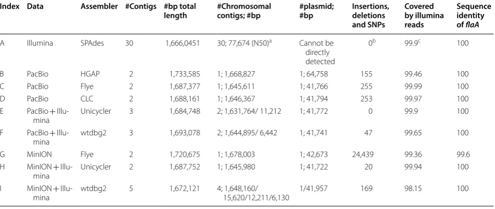 Table 1 Summary of the raw output from Illumina, MinION, and PacBio sequencing technologies