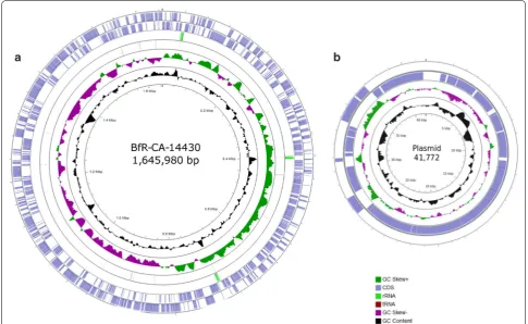 Fig. 1 Genome map, generated by CGView [33], of chromosomal DNA a) and plasmid DNA b) from C