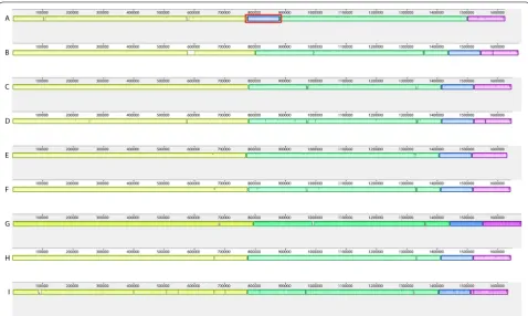 Fig. 2 Progressive Mauve Alignment of chromosomal genomes generated by different assemblers