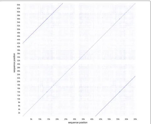 Fig. 3 The dotplot shows a global alignment of the plasmid sequence, generated from PacBio reads by HGAP (Table one dark blue diagonal line in the middle from start to end of the sequence as well as two additional dark blue lines showing up in the top left