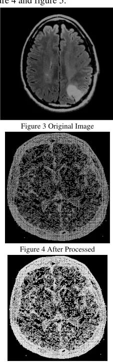 Figure 3 Original Image 