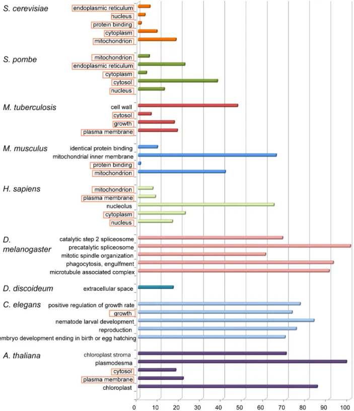 Figure 2. Relative contribution of top-50 articles to the annotation of major model organisms