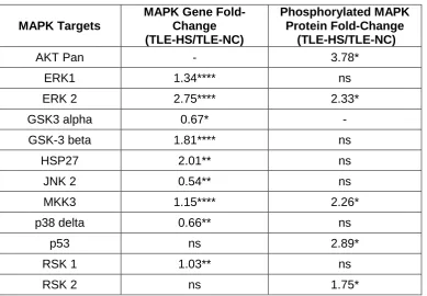 Table 2: Fold change (FC) expression of MAPK target genes and corresponding proteins.   