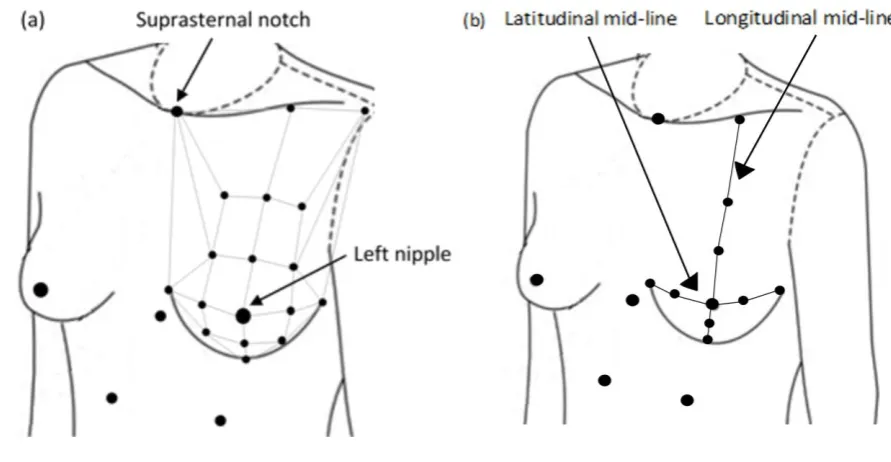 Figure 1: (a) Torso marker set, breast marker array, and inter-marker pairings (grey lines) 
