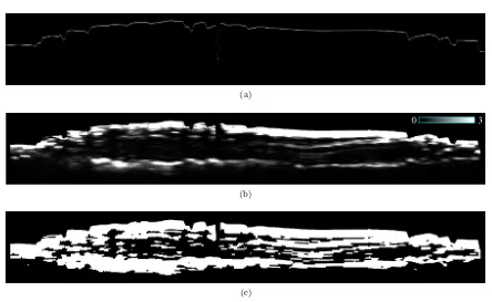 Figure 2.7: (a) Detected ﬁrst returns on SHARAD radargram 1319502 (see Fig. 2.3). (b) Map of KLSNobtained on the same radargram