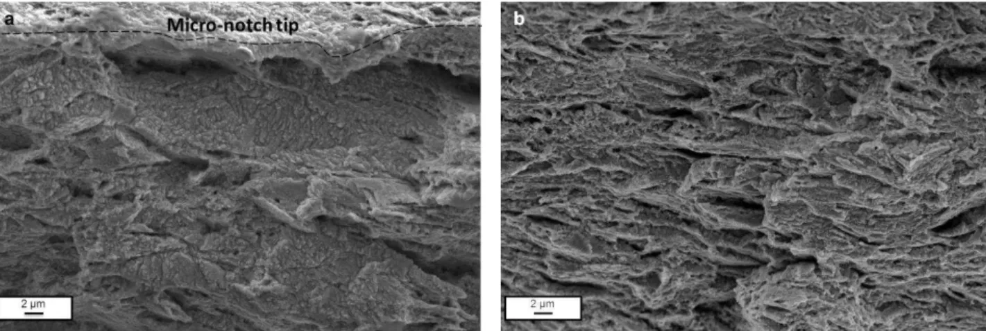 Figure 12: (a) Magnification of the fracture surface of specimen tested at OCP close to the notch tip,  and (b) Fracture zone resulting from numerous longitudinal small delaminations and small ductile  tearing