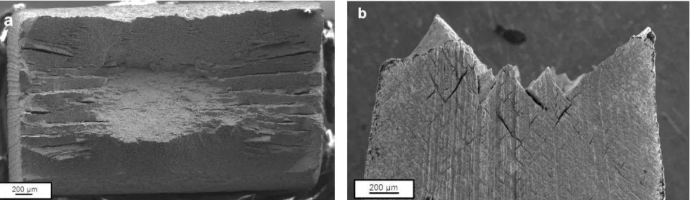 Figure 7: (a) Fracture surface of specimen tested at OCP, and (b) preferential dissolution of shear  bands on the lateral surface
