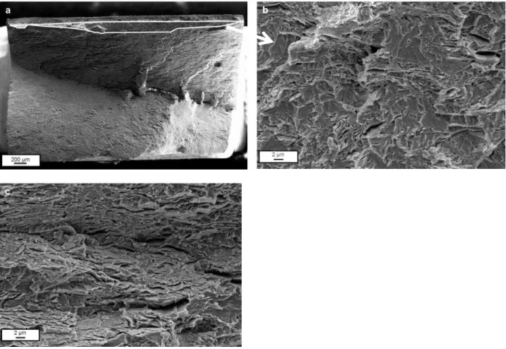 Figure 10: (a) Fracture surface of specimen tested under CP, (b) magnification of the first brittle zone  ahead of the notch tip, (c) second zone with numerous small delaminations and ductile tearing