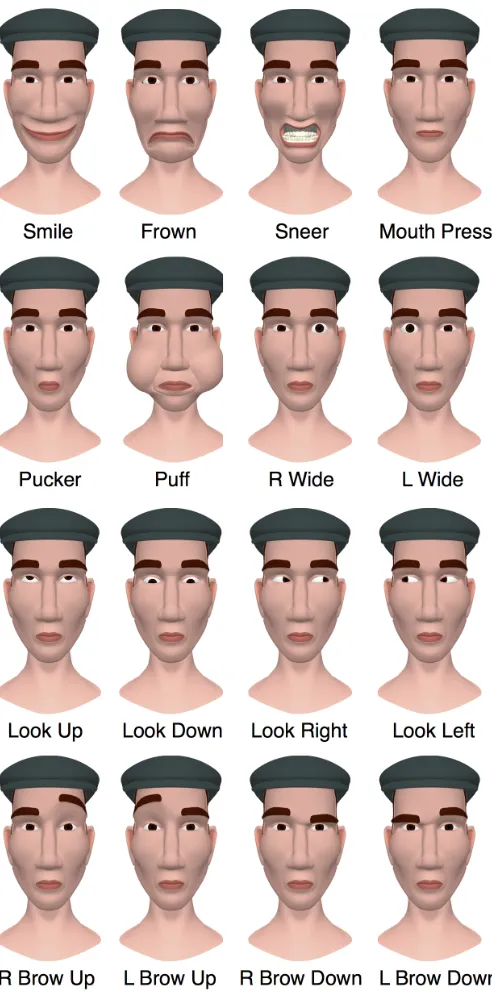 Figure 4.3: Blend shapes for the rest of the face.