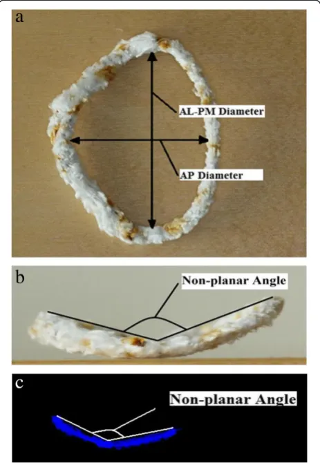Fig. 1 Pipe cleaner number 2 mimicking mitral annulus seen fromfront (a) and profile view (b)