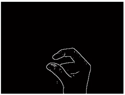Figure (b) After Edge Detection 